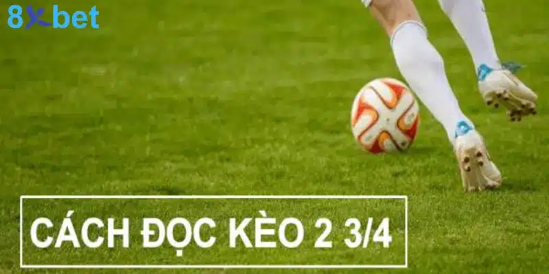 Kèo 3/4 Là Gì? Mẹo Đặt Cược Kèo Chấp 3/4 Hiệu Quả Phương pháp đọc kèo 0.75 chuẩn nhất